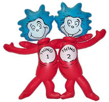Twin Birthday Party