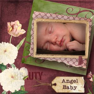 baby-scrapbook Baby Scrapbook