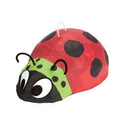 Ladybug Birthday