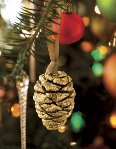 Homemade Ornaments