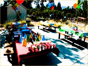 Birthday Party in The Park Birthday Party in The Park