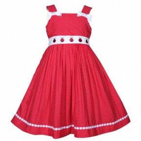 Red and White Ladybug Dress