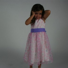Daisy Organza Dress