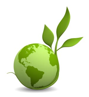 Teaching Kids Sustainability