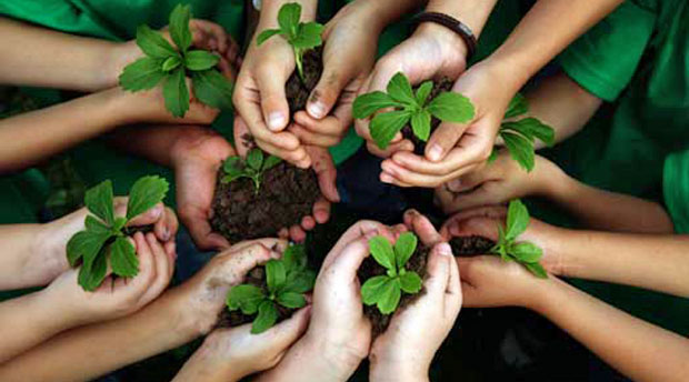 Teaching Kids Sustainability