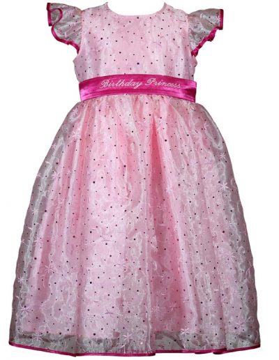 Treasure Box Kids Girls Pink Sparkle Princess Birthday Dress