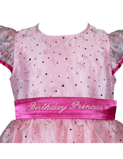 Girls Pink Sparkle Princess Birthday Dress Front